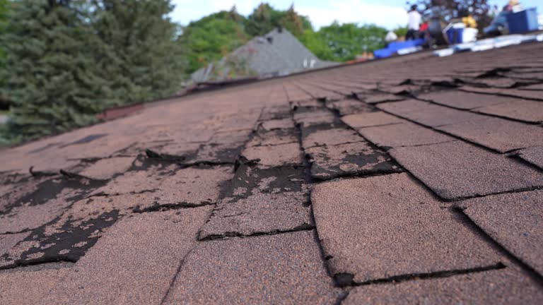 Sheet Metal Roofing in Cross Lanes, WV